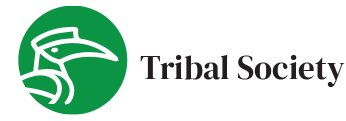 WHAT IS TRIBAL SOCIETY SHORT ANSWER visual data 2
